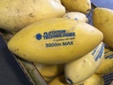 Flotation Technologies MF-09-3000 marker float